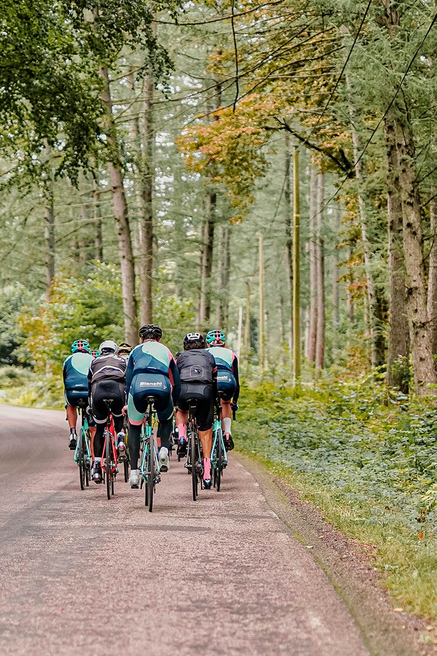 Cicloturismo País Vasco