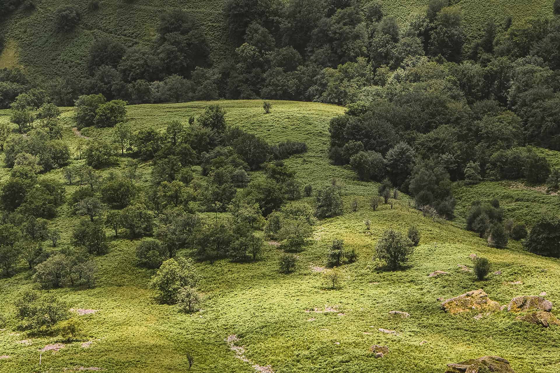 Euskadi turismo