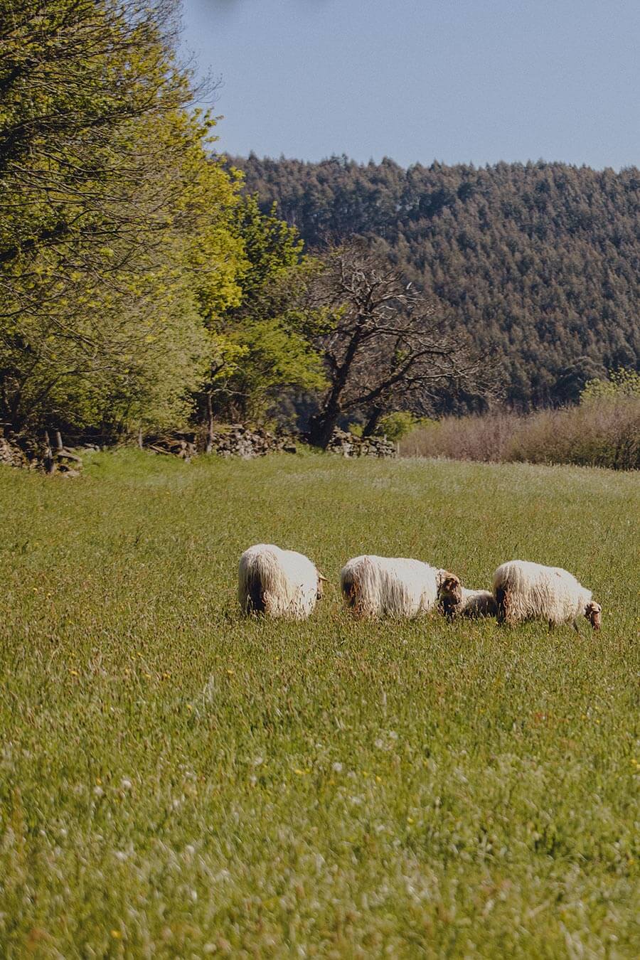 Espacios al aire libre